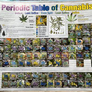 Periodic‎ Table of Cannabis Large Poster College Collection Wall Decor Sz 24x36